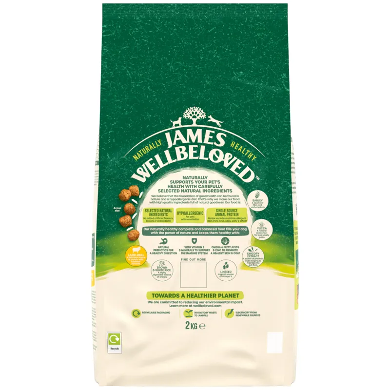 James Wellbeloved Dog Adult Lamb-1